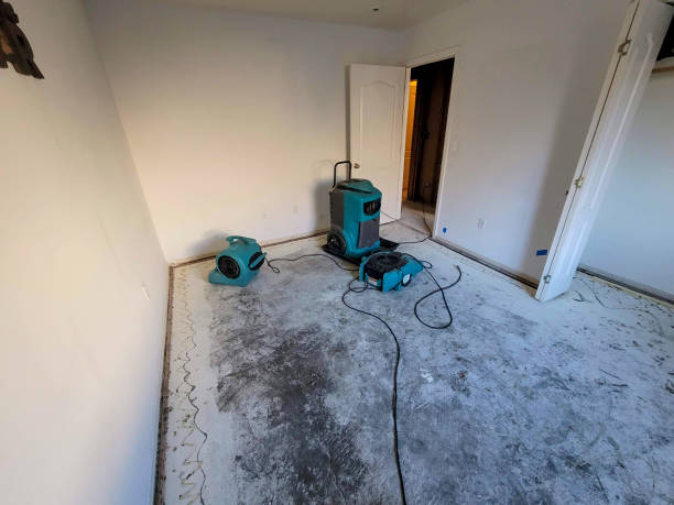 Best Local water damage restoration  in South Williamsport, PA