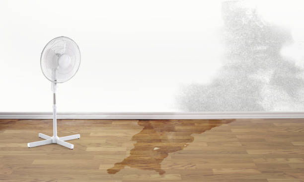 Best Residential water damage restoration  in South Williamsport, PA